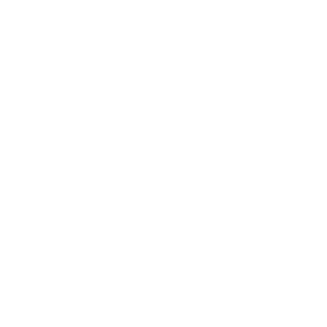 icon of two shaking hands