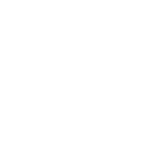 icon of gauge on a computer screen